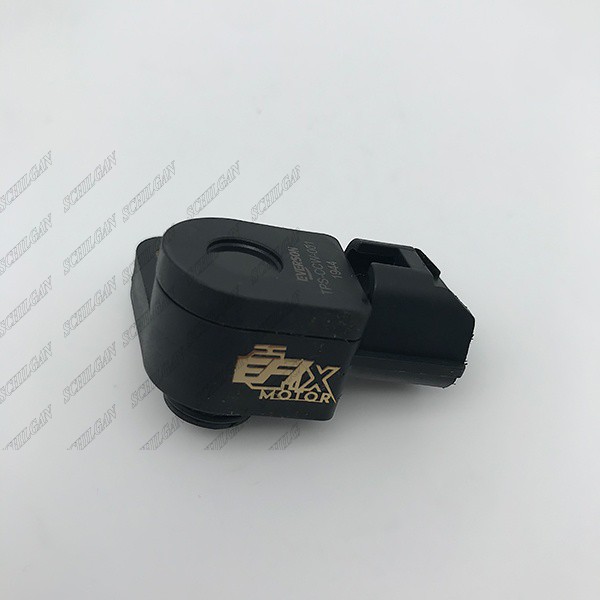 سنسور موقعیت دریچه گاز دنی