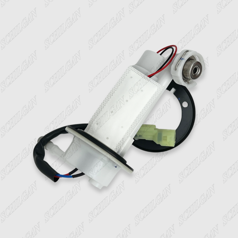 Delphi HBL Fuel Pump Type 1