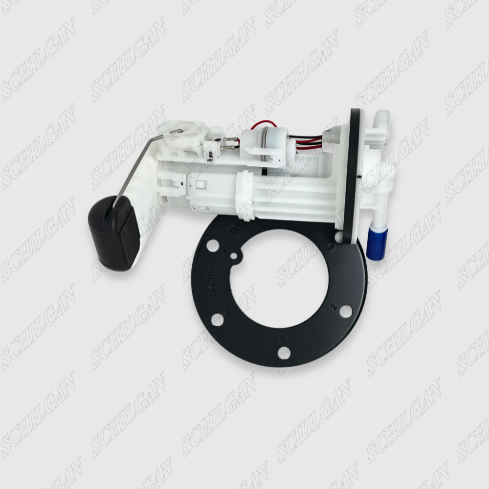 Delphi HBL Fuel Pump Type 2