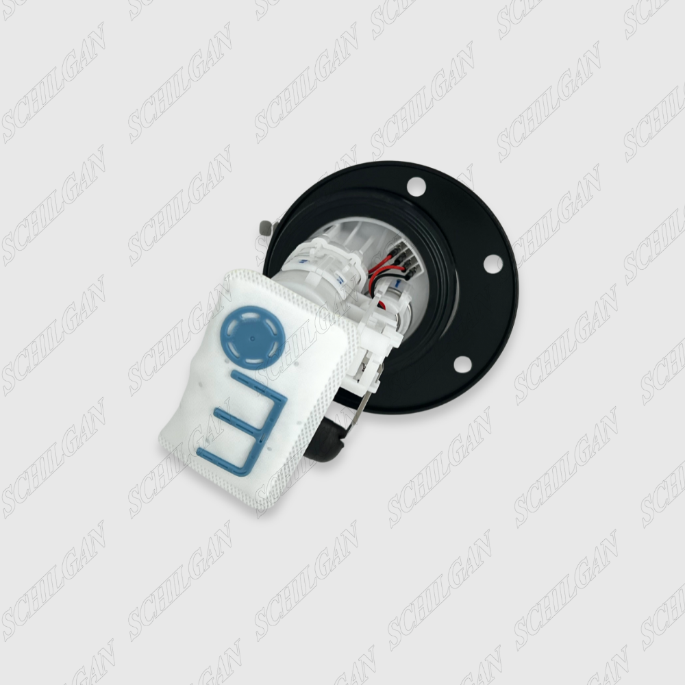 پمپ سوخت انژکتوری دلفی HBL