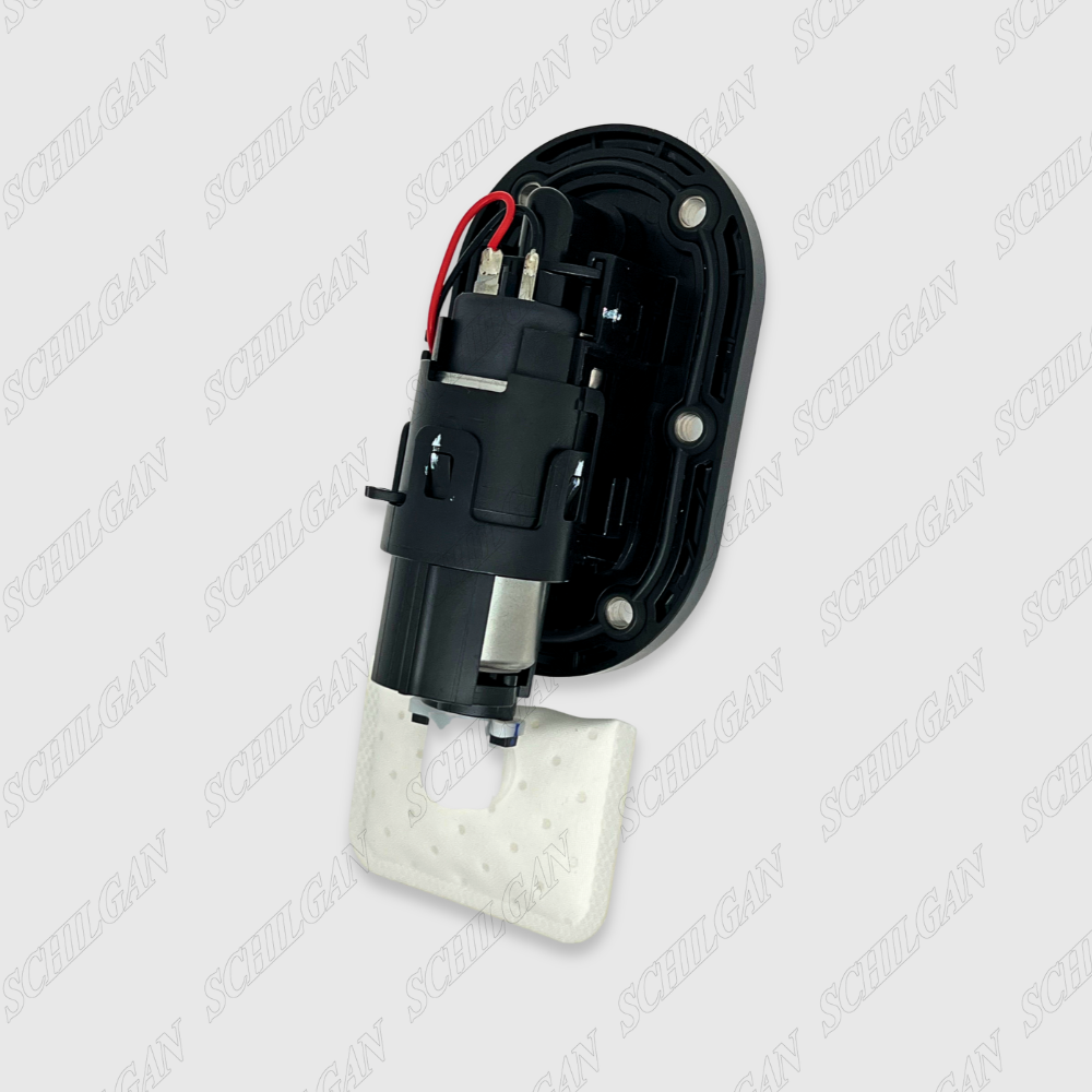 Delphi HBL Type 12 fuel pump