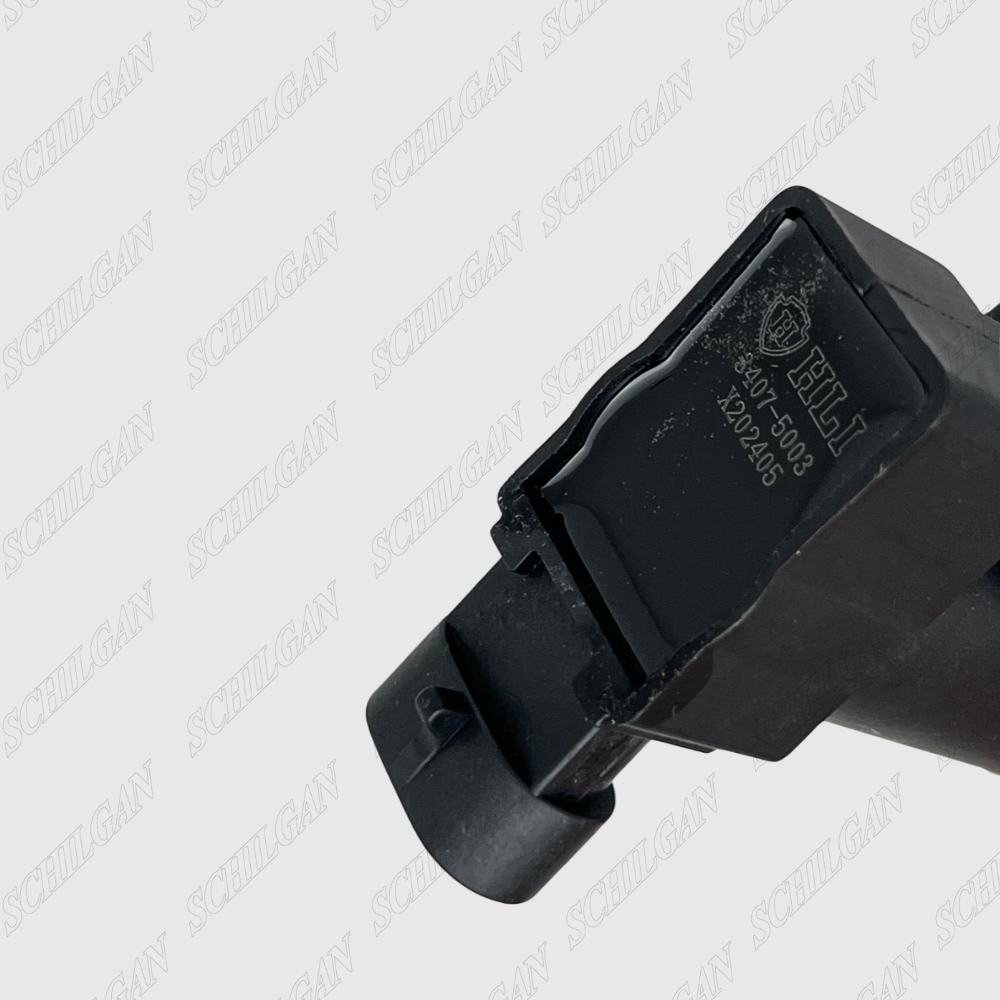 Delphi HBL Type 1 injector coil