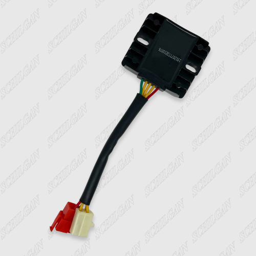 شارژر لیهوا انژکتوری دلفی HBL