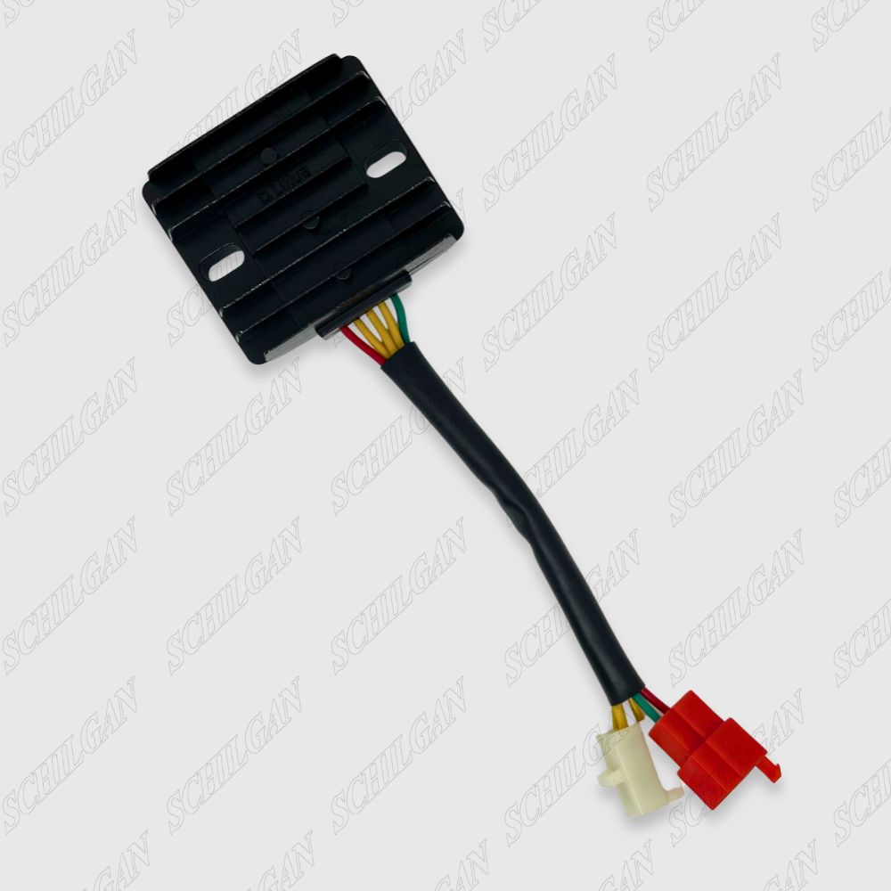 دستگاه شارژر انژکتوری لیهوا دلفی HBL