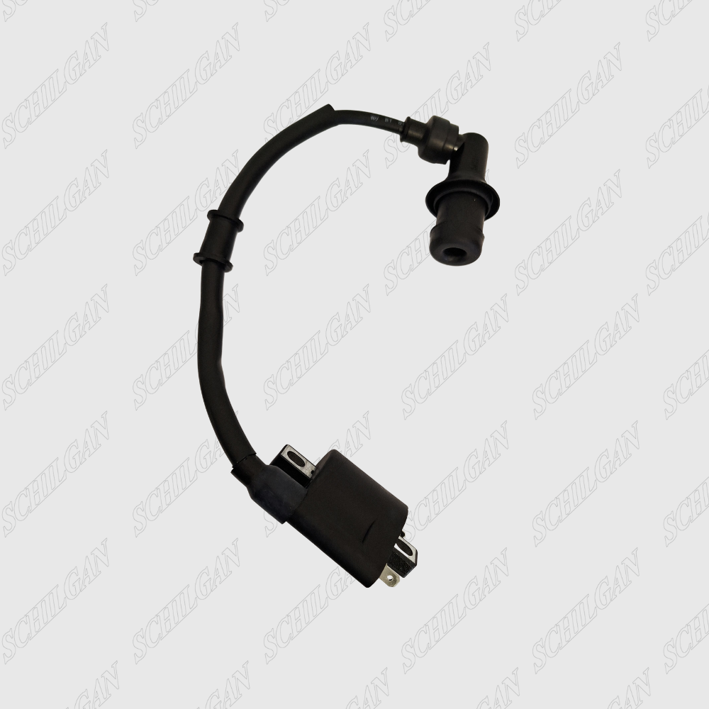 قیمت کویل انژکتور دلفی HBL نوع دو