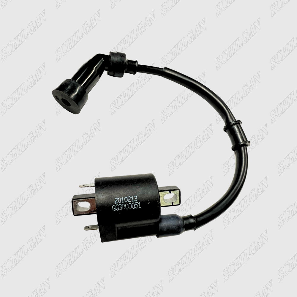 کویل Delphi HBL مدل Type 4